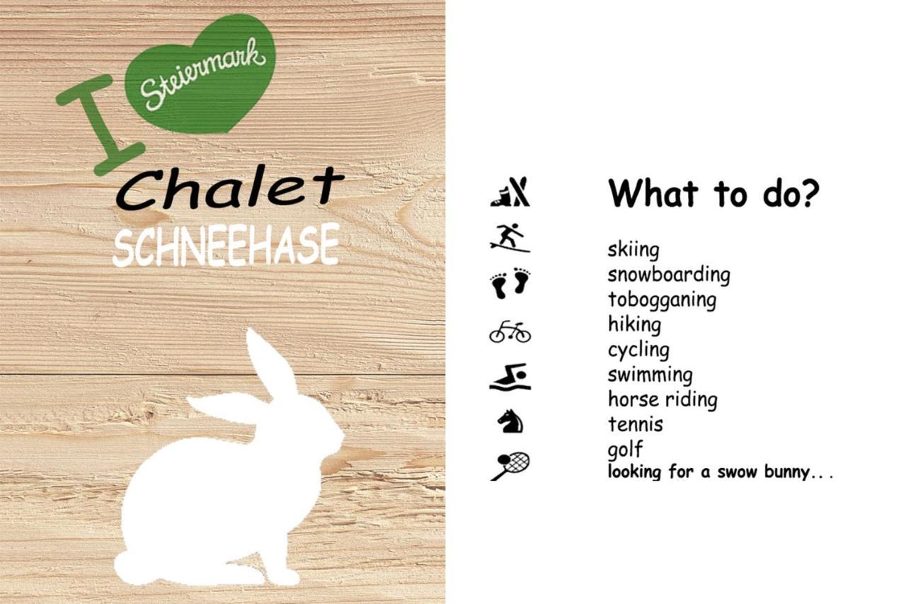 Chalet ?Snow Bunny? Stadl an der Mur Extérieur photo